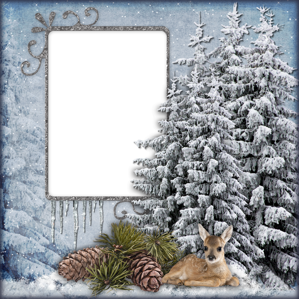 Winter Frame PNG Isolated Pic