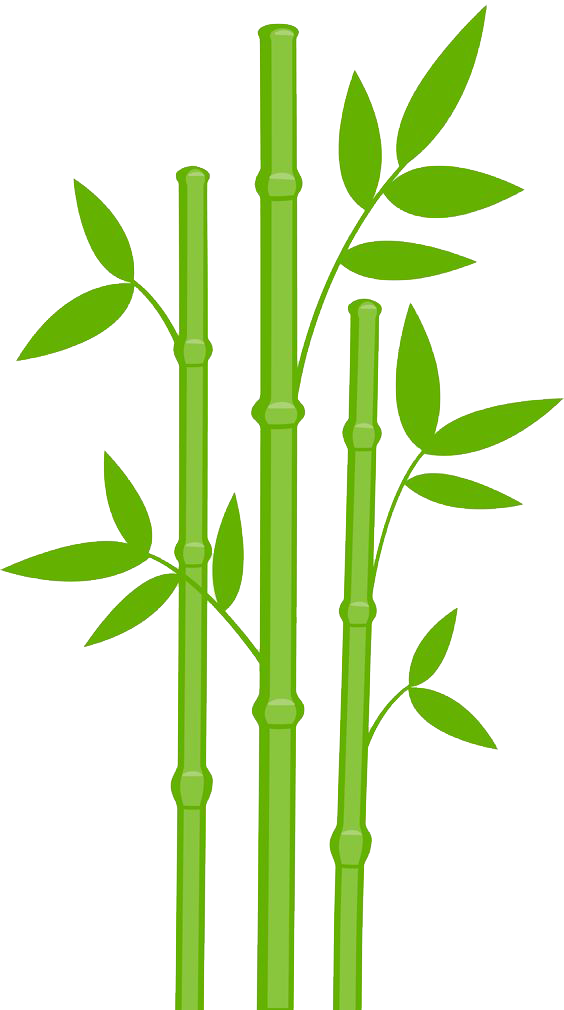 Bamboo PNG gambar Transparan