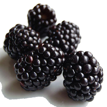 Black Raspberries PNG Clipart