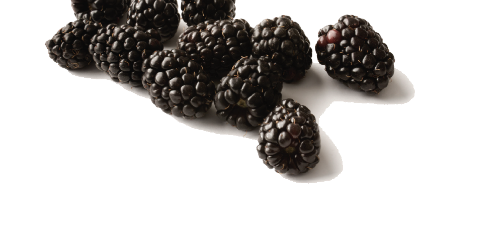 Black Raspberries PNG تحميل مجاني