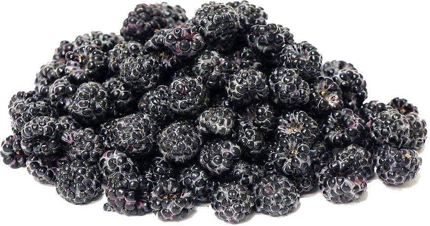 Black Raspberries PNG Transparent Image