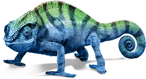 Chameleon PNG Transparent Image
