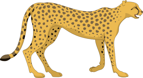 Cheetah PNG-Fotos