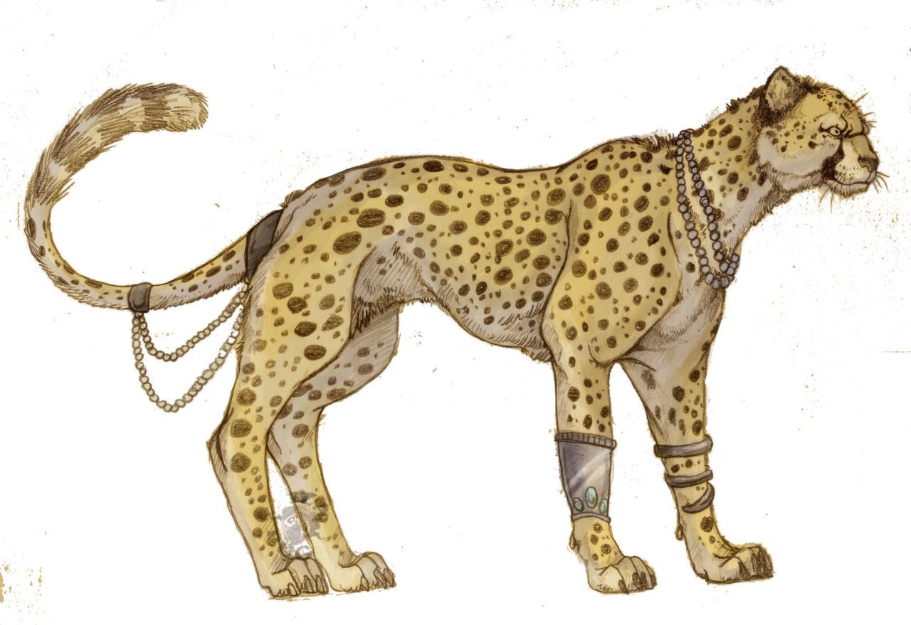 Cheetah PNG-Bild