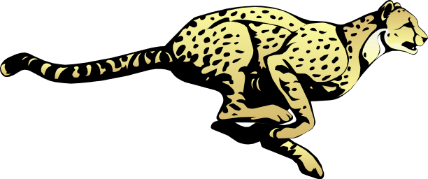 Gepard PNG Transparentes Bild