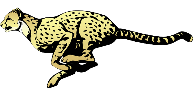 Cheetah Transparent PNG