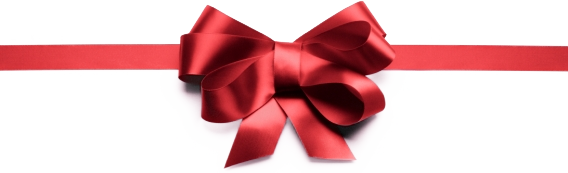 Christmas Bow PNG Transparent