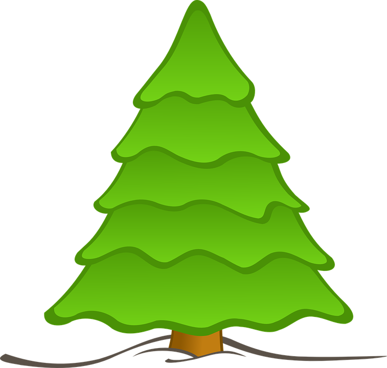 Christmas Nature PNG Picture