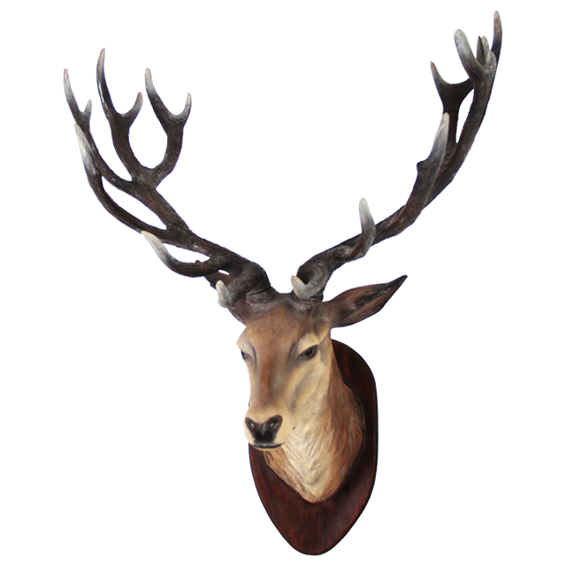 Deer Head PNG Transparent Image