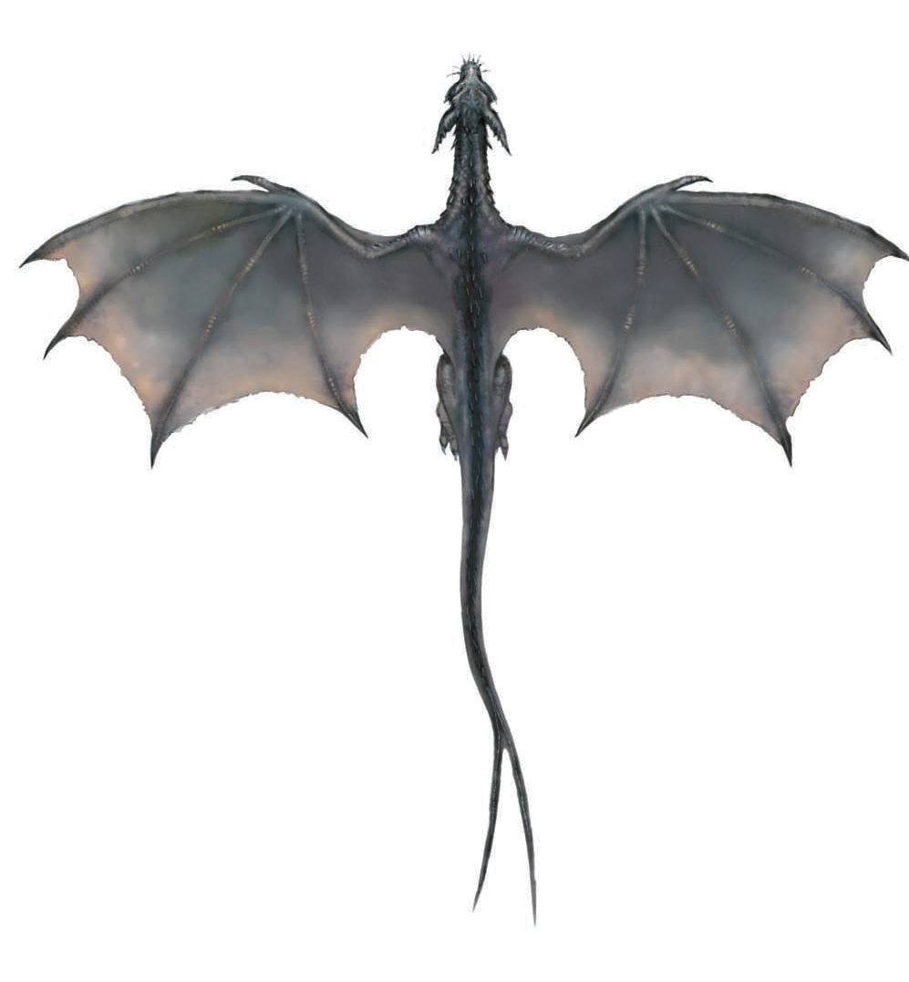 Dragón volador Transparente PNG