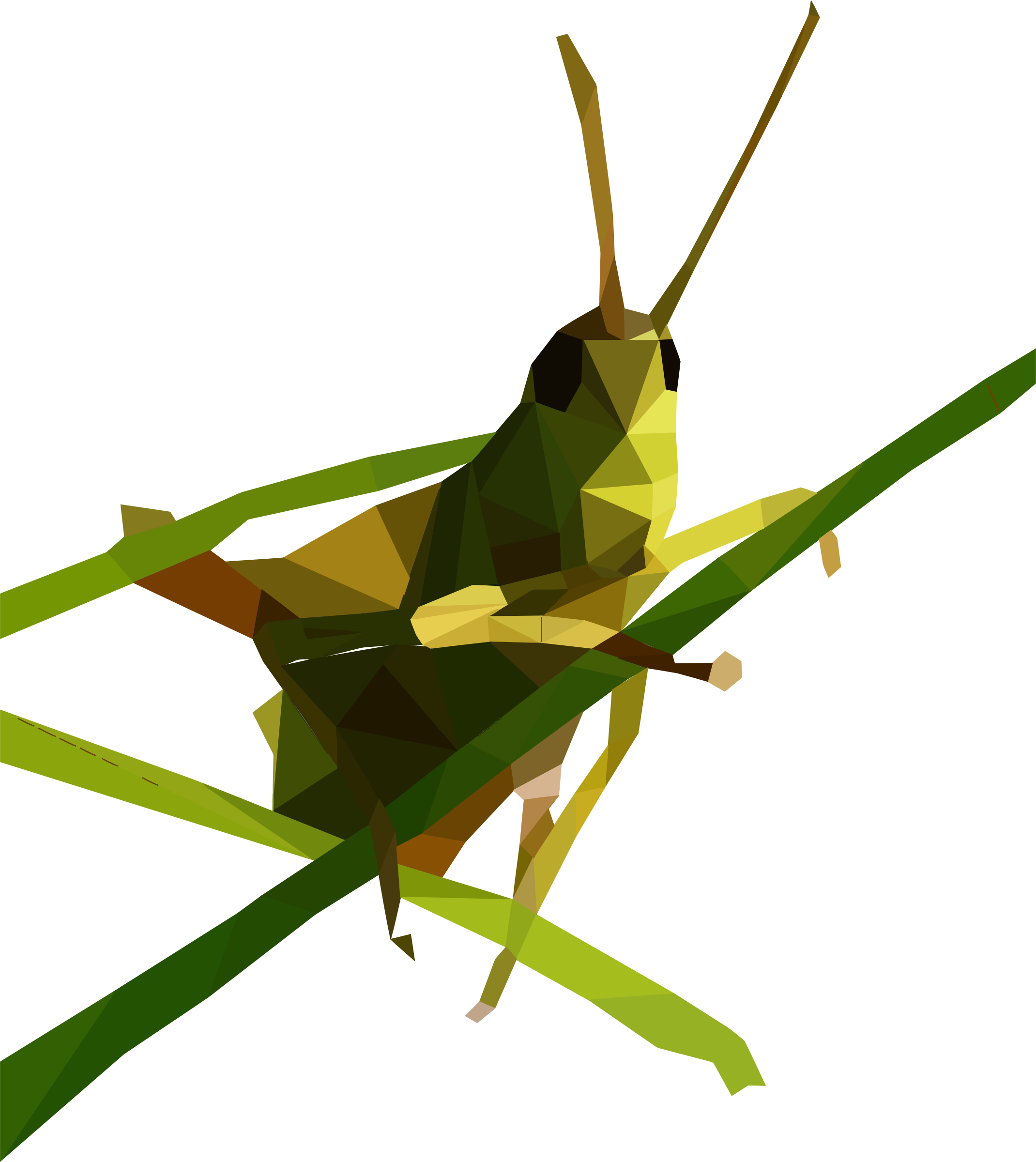 Grasshopper PNG Free Download