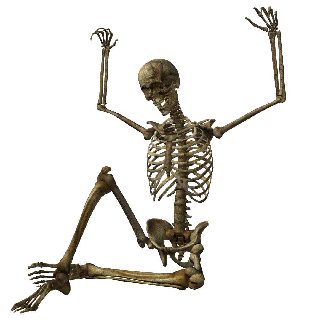 Halloween Skeleton PNG Pic