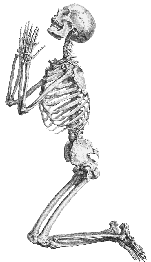 Contexte Transparent de squelette dHalloween