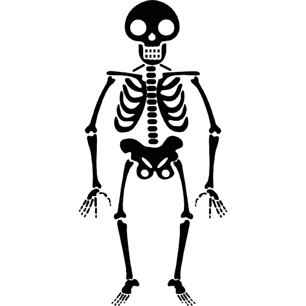 Squelette dHalloween Transparent PNG