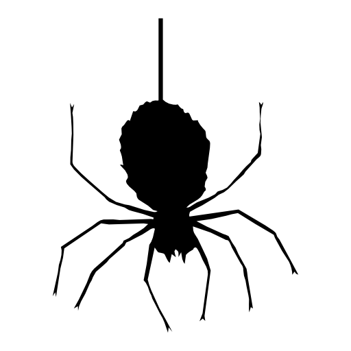 Halloween Spider PNG Clipart