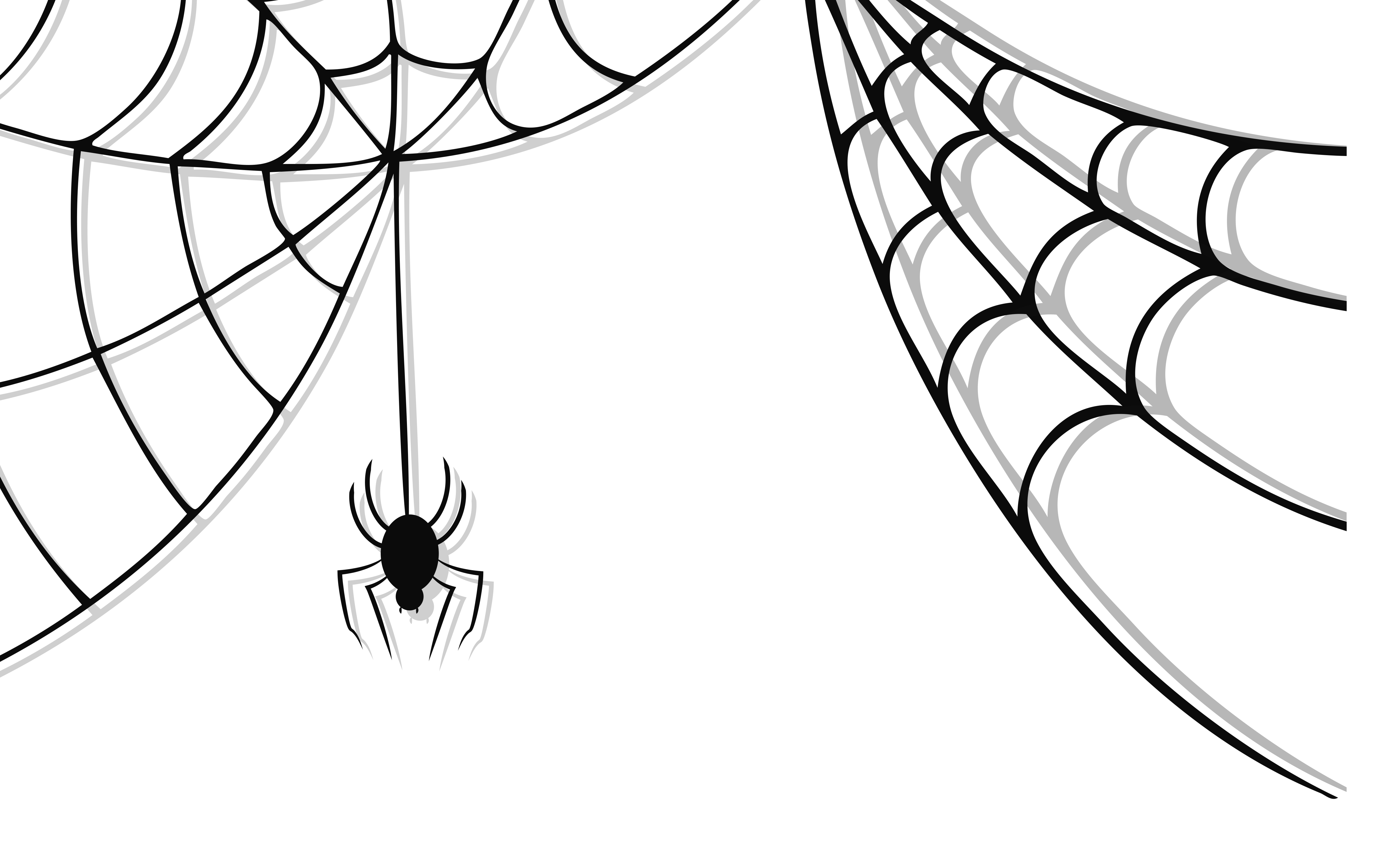 Cadılar bayramı örümcek PNG resim