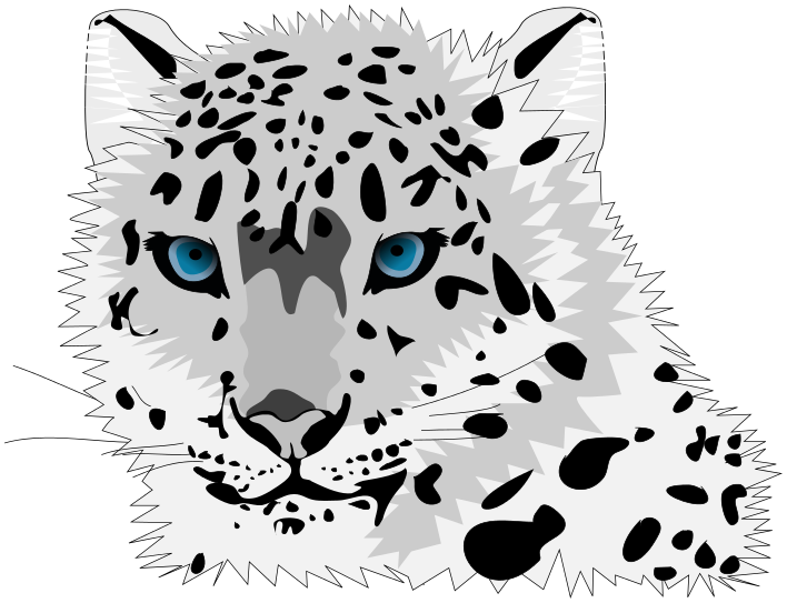Leopard PNG Free Download