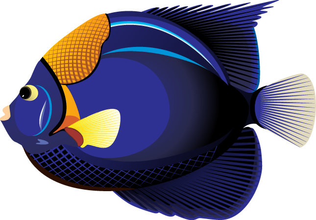 Ocean Fish PNG Clipart