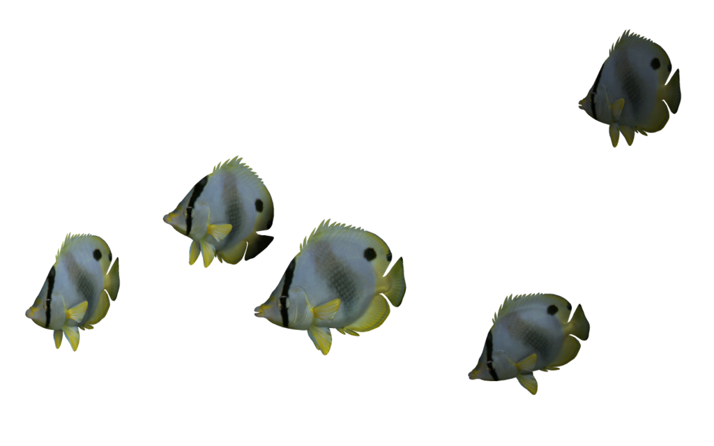 Ocean Fish PNG-bestand