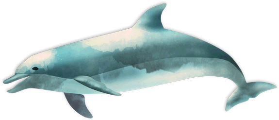 Ocean Fish PNG-afbeelding