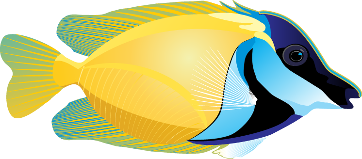 Ocean Fish PNG Picture