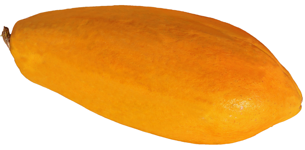 Papaya PNG ภาพโปร่งใส