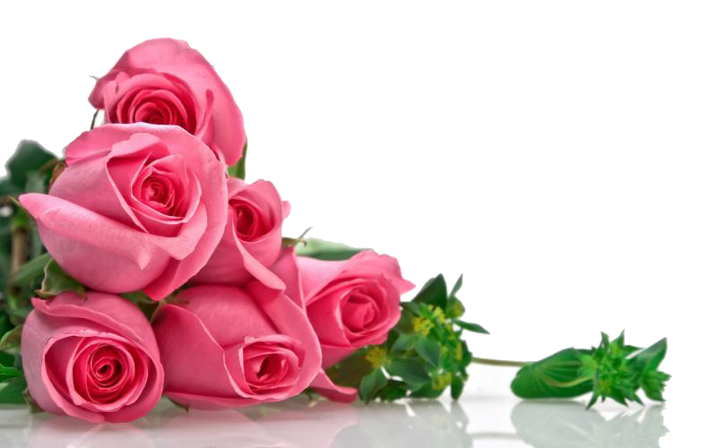 Rosa Rosen Blumenstrauß PNG Transparentes Bild