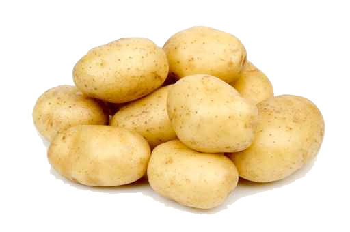 Image PNG de pomme de terre