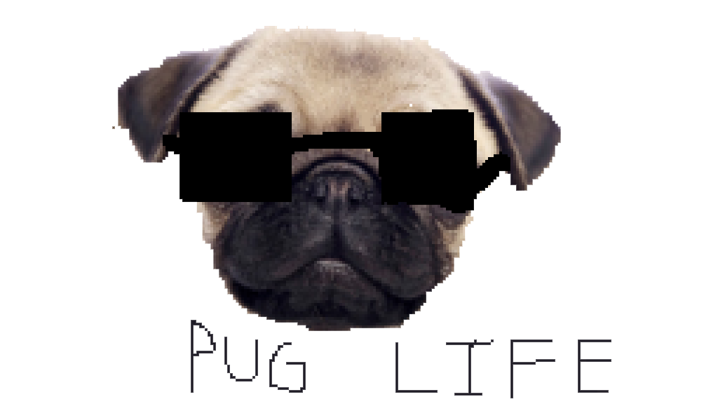 Pug Life PNG Clipart
