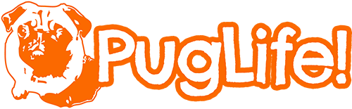 Pug Life PNG HD