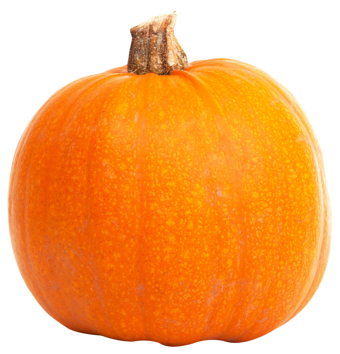 Real Pumpkin PNG File