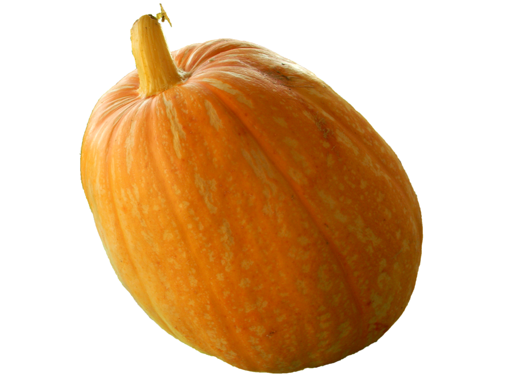 Real Pumpkin PNG Transparent Image