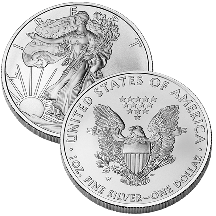 Silver Coins PNG Image