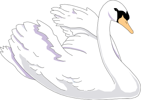 Swan PNG Clipart