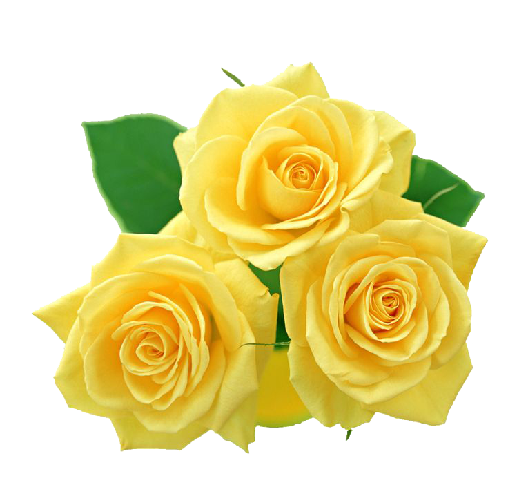 Archivo PNG de ramo de flores amarillas