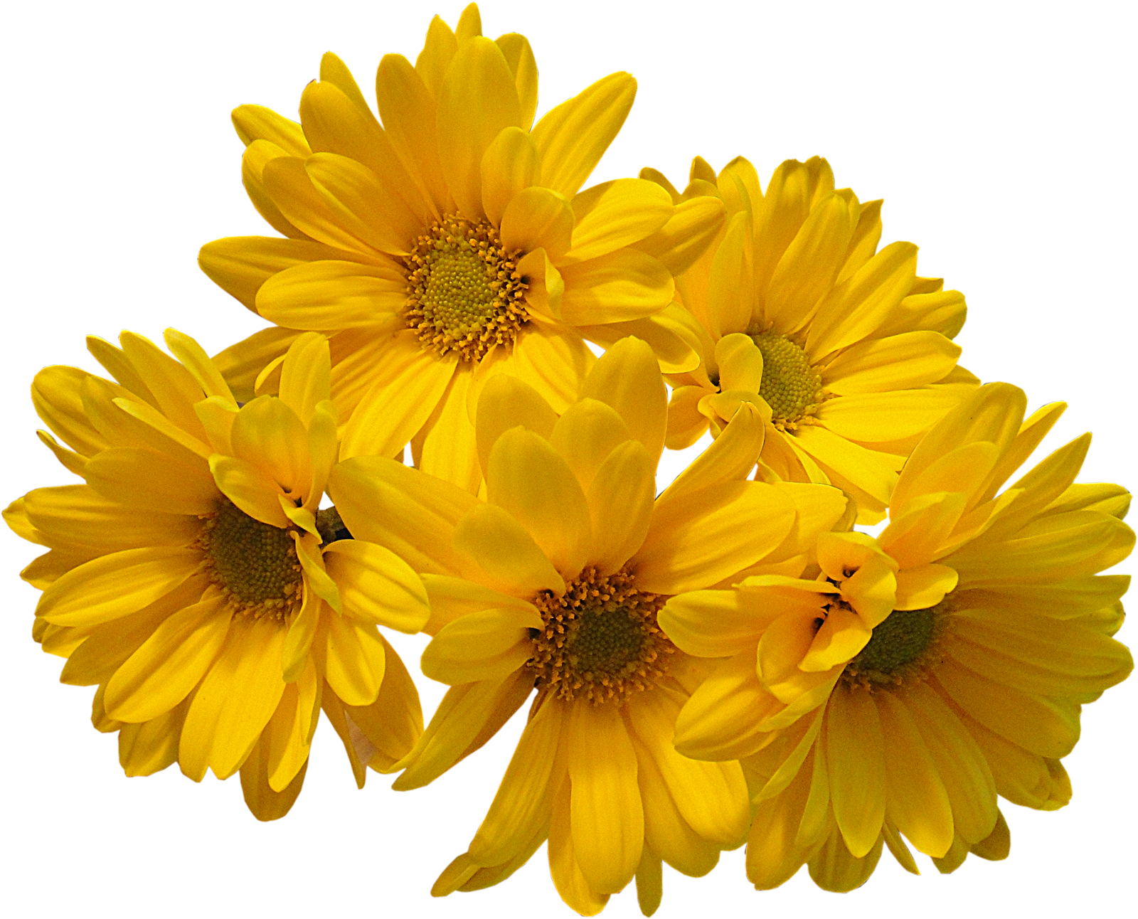 Yellow Flowers Bouquet PNG Transparent Image