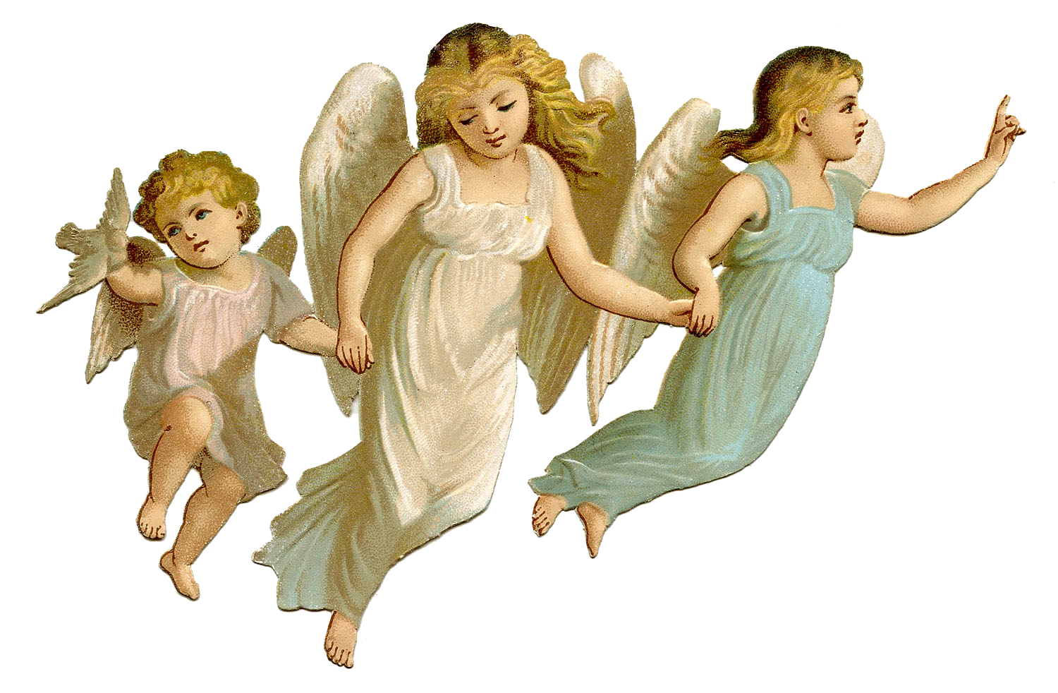 Angel PNG Picture