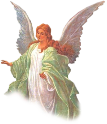 Angel Transparent Background