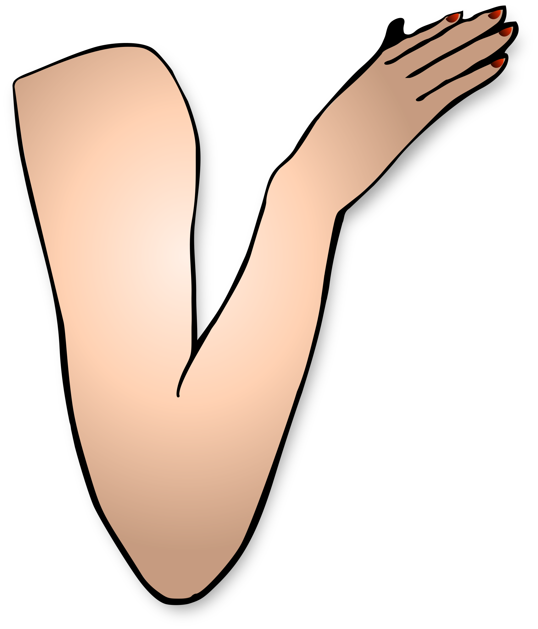 Immagine del braccio
