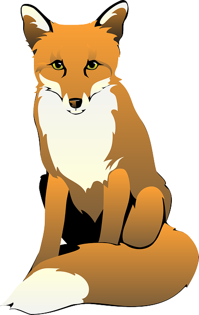 Artistic fox PNG File