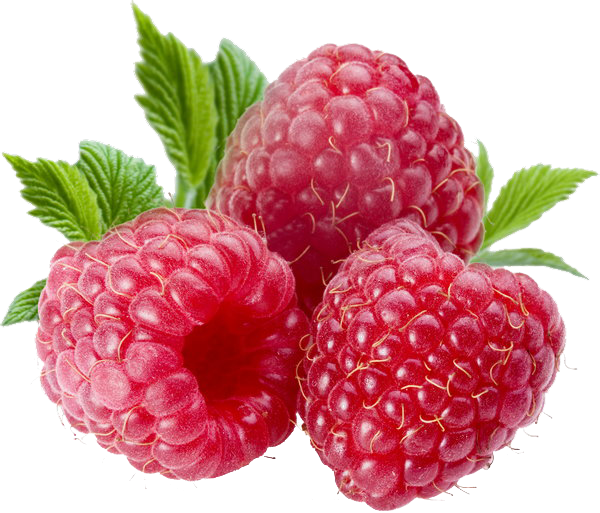 Berry PNG File