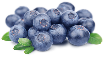 Blueberry PNG HD