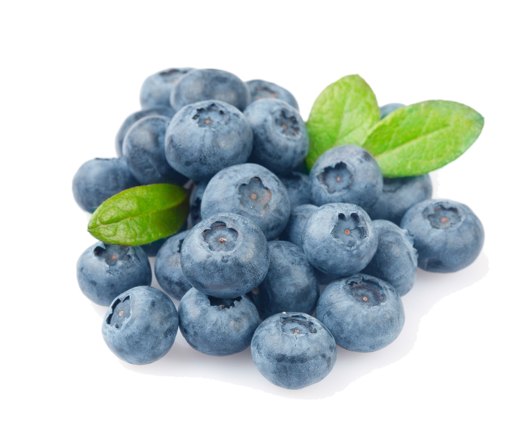 Blueberry PNG Foto