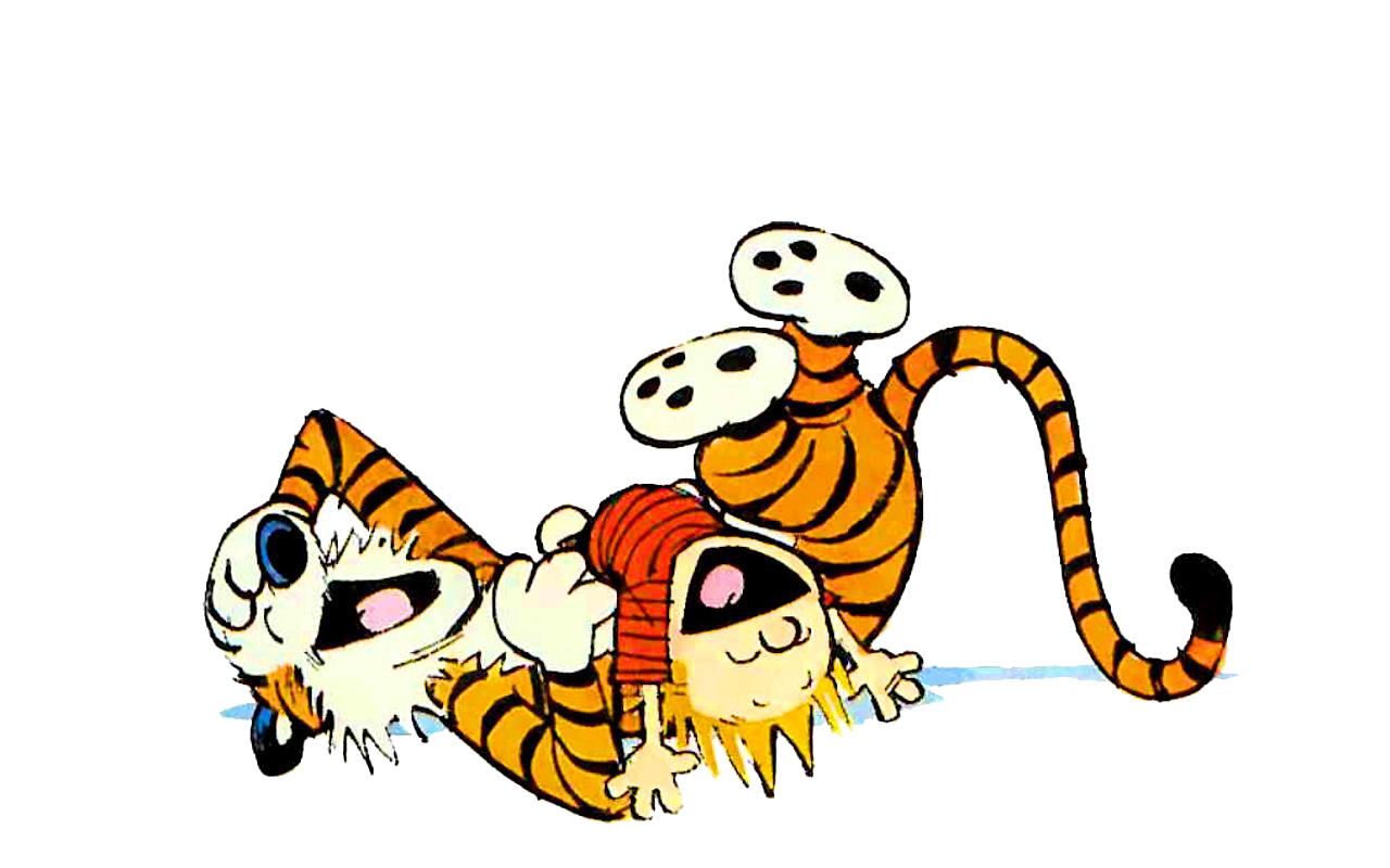Calvin And Hobbes PNG Photos