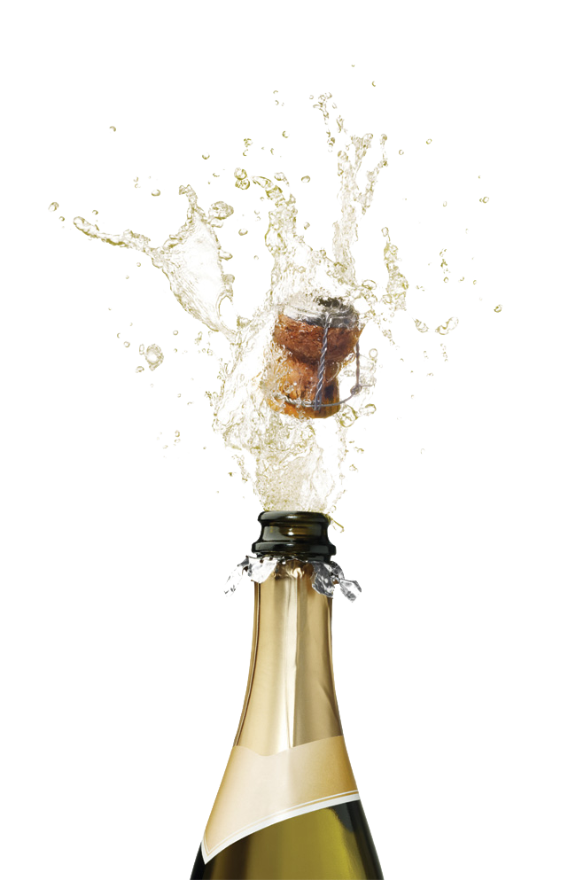 Champagne Picn PNG PICture
