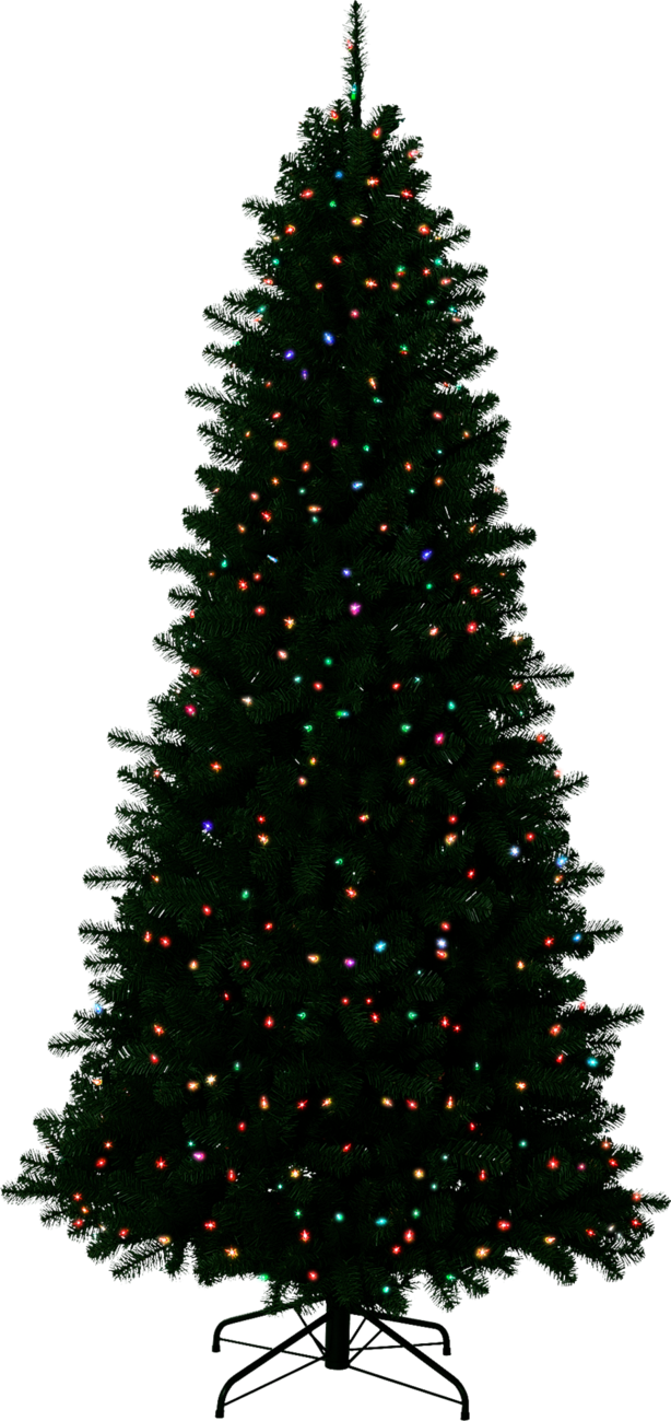 Christmas Outside Transparent Background
