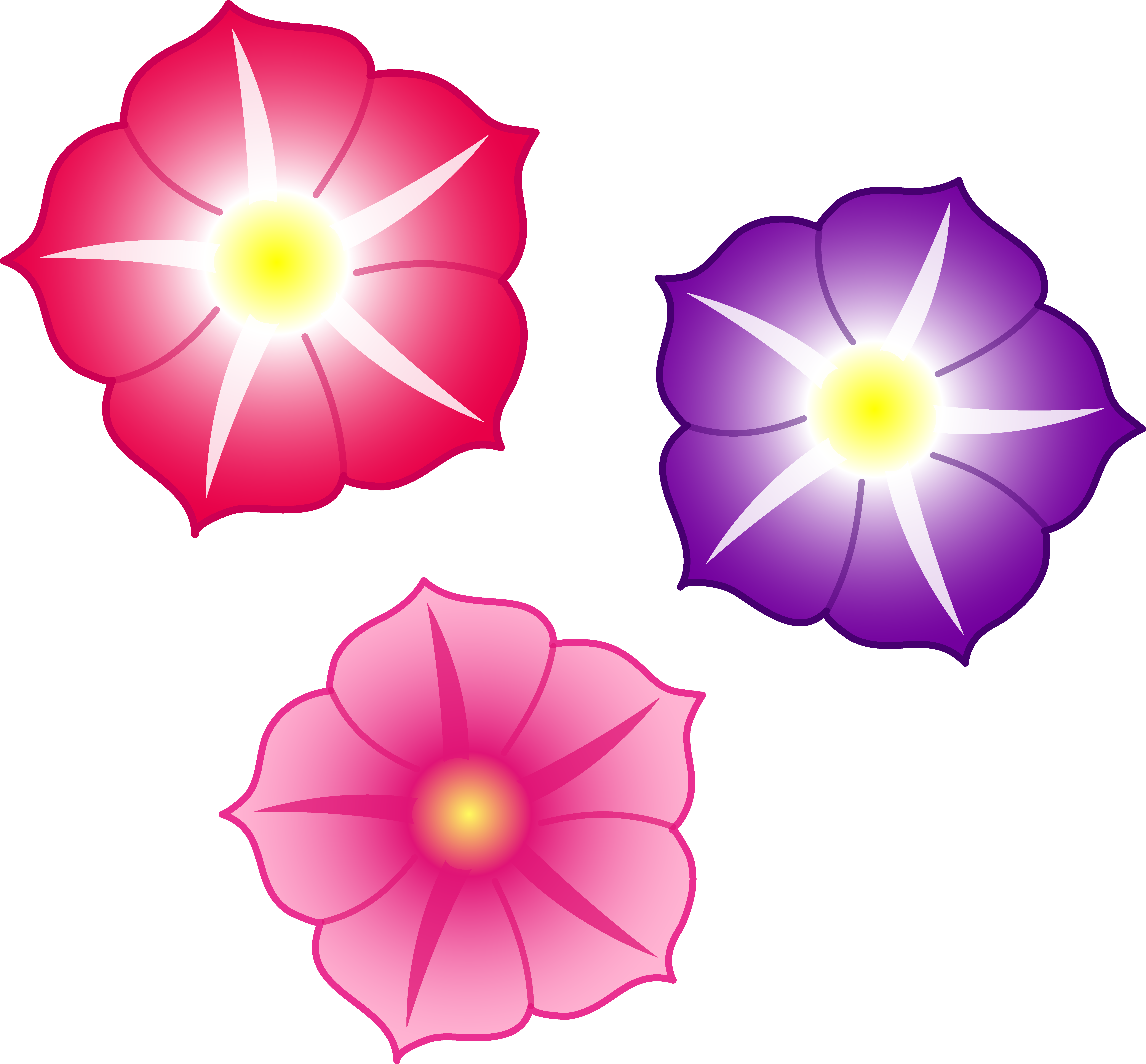 Archivo PNG de flores coloridas