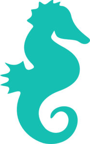 Cute Seahorse PNG Picture