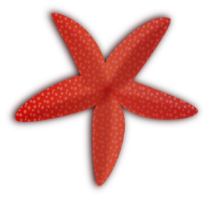 Sevimli denizyıldızı PNG HD