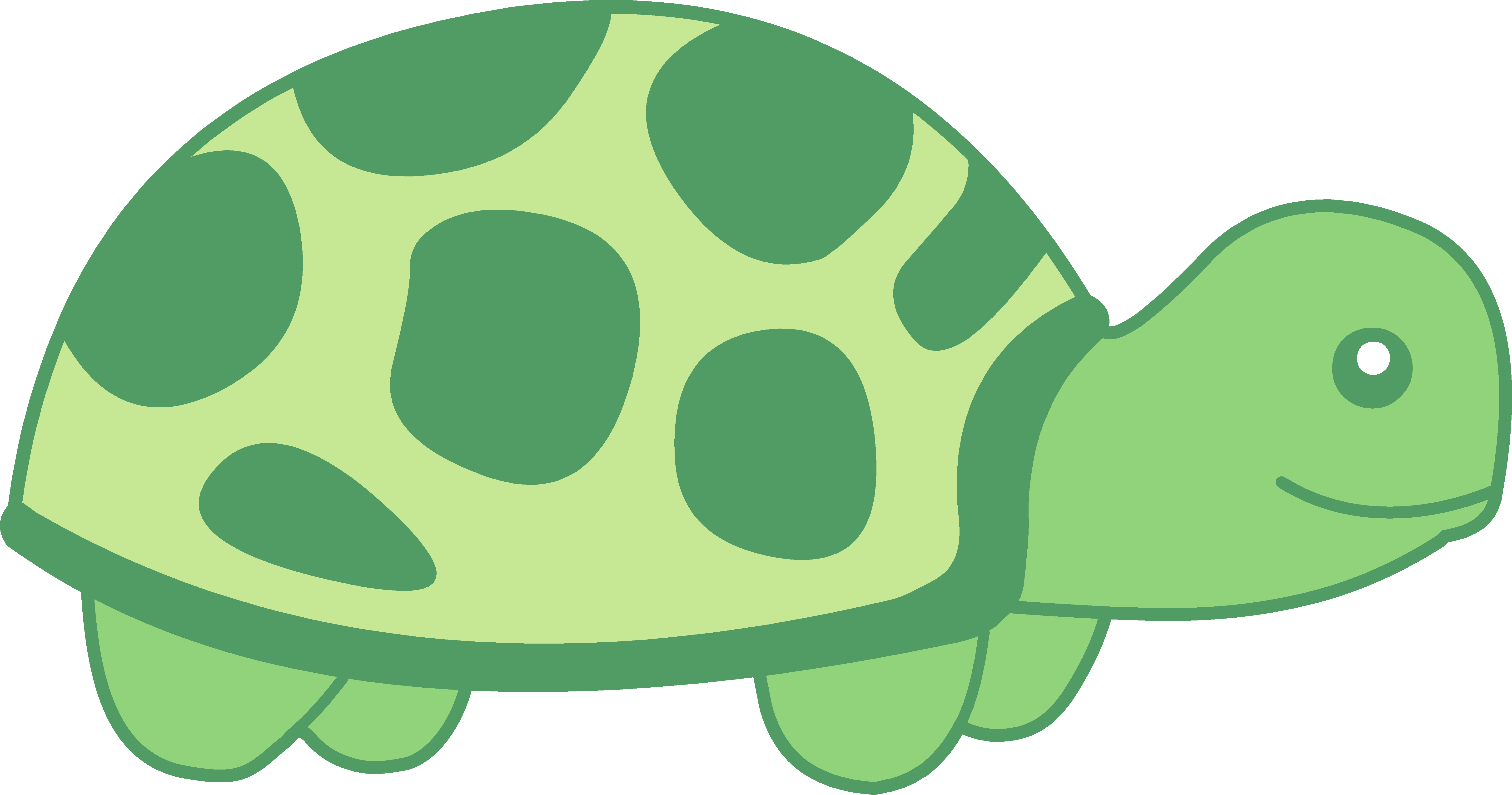 Симпатичная черепаха PNG Clipart